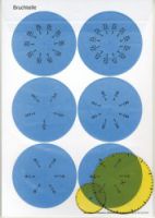 Schweizer Zahlenbuch 5: Zeichenuhr Begleitmaterial 5 Sets