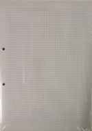 A4 Blätter 55 RR  recyclo, 500 Blatt