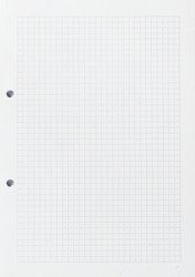 A4 Blätter 55 RR weiss, 2 Loch, 500 Blatt